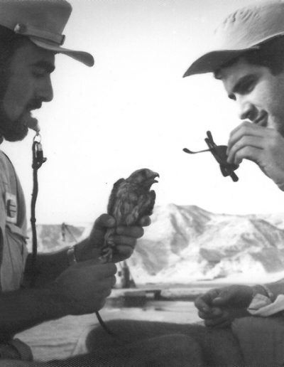 08-01.- Prácticas de cetrería con un Cernícalo Primilla Foto: Gregorio Ortega Oribe. Aargub, Septiembre 1974