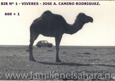 <a href="https://www.lamilienelsahara.net/personal?id=1421" target="_blank" rel="noopener noreferrer" title="">73029.- Camino Rodríguez, José Antonio (...para ver su álbum personal, <b>pulsa aquí</b>)</a>