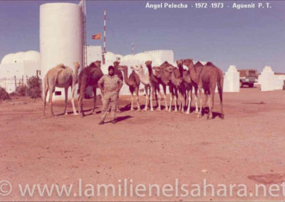 001.- Agüenit, Policía Territorial.