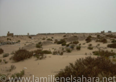 058.- RAID PURAVIDA. Viaje al Sáhara, abril 2009