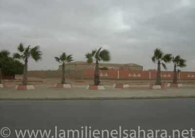 087.- RAID PURAVIDA. Viaje al Sáhara, abril 2009
