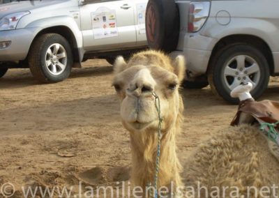 098.- RAID PURAVIDA. Viaje al Sáhara, abril 2009