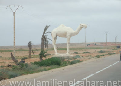 127.- RAID PURAVIDA. Viaje al Sáhara, abril 2009