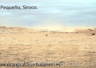 028.- "Patrulla Servalabari" Viaje al Sáhara, octubre 2010
