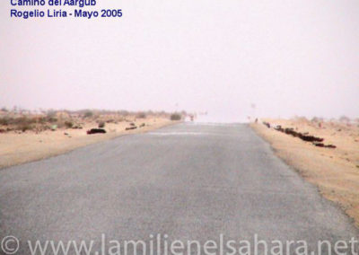 002.- Liria Santana, Rogelio. Viaje al Sáhara, mayo 2005