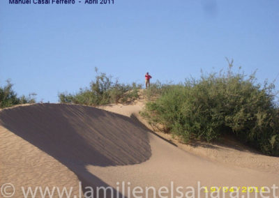 059.- Casal Ferreiro, Manuel. Viaje al Sáhara, abril 2011