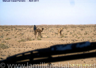 062.- Casal Ferreiro, Manuel. Viaje al Sáhara, abril 2011