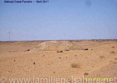 099.- Casal Ferreiro, Manuel. Viaje al Sáhara, abril 2011