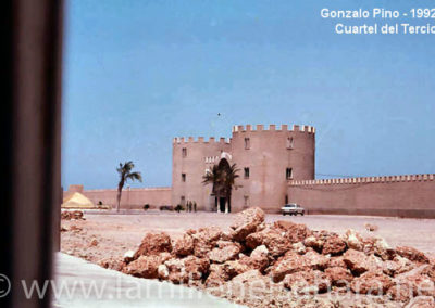 020.- Pino Arance, Gonzalo. Viaje al Sáhara, 1992