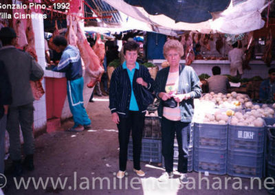 037.- Pino Arance, Gonzalo. Viaje al Sáhara, 1992