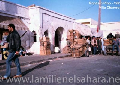 044.- Pino Arance, Gonzalo. Viaje al Sáhara, 1992