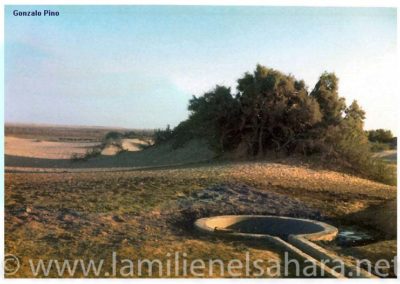 Pino Arance, Gonzalo. Postales, 1992