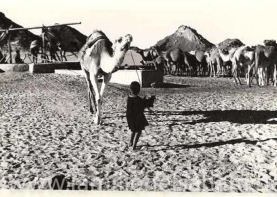 129.- Pino Arance, Gonzalo. Postales, 1992