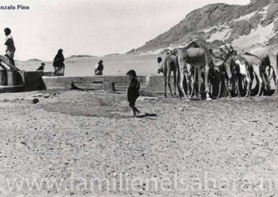 131.- Pino Arance, Gonzalo. Postales, 1992