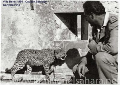 153.- Pino Arance, Gonzalo. Fauna Sahariana, 1992