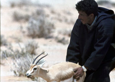 161.- Pino Arance, Gonzalo. Fauna Sahariana, 1992