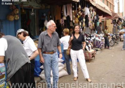 010.- Viaño Arca, Manuel. Viaje al Sáhara, 2004