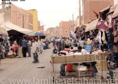011.- Viaño Arca, Manuel. Viaje al Sáhara, 2004