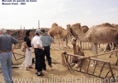 012.- Viaño Arca, Manuel. Viaje al Sáhara, 2004