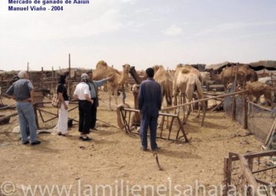 013.- Viaño Arca, Manuel. Viaje al Sáhara, 2004