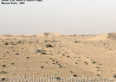 038.- Viaño Arca, Manuel. Viaje al Sáhara, 2004