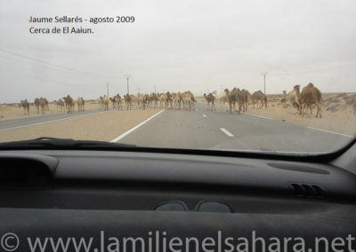 066.- Sellarés, Jaume. Viaje al Sáhara, segundo retorno, Navarcles-Senegal-Nacarcles. agosto 2009