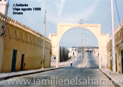 002.- Sellarés, Jaume. Viaje al Sáhara, 1988