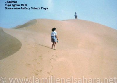 008.- Sellarés, Jaume. Viaje al Sáhara, 1988