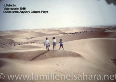 010.- Sellarés, Jaume. Viaje al Sáhara, 1988