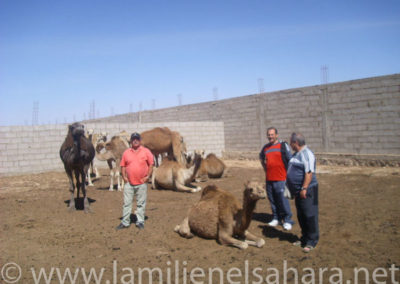 007.- Iñaki Balzola, Javier y Muñoz. Viaje al Sáhara, 2008