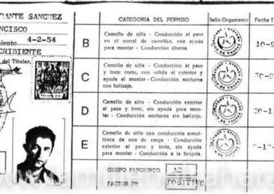 003.- Carnet de Conducir Camellos y dromedarios ¿Ficción o realidad?.