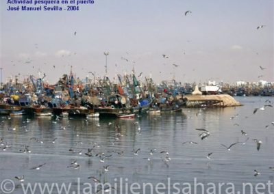 018.- Sevilla Gómez, José Manuel. Viaje al Sáhara, 2004