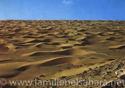 004.- Zona de dunas.