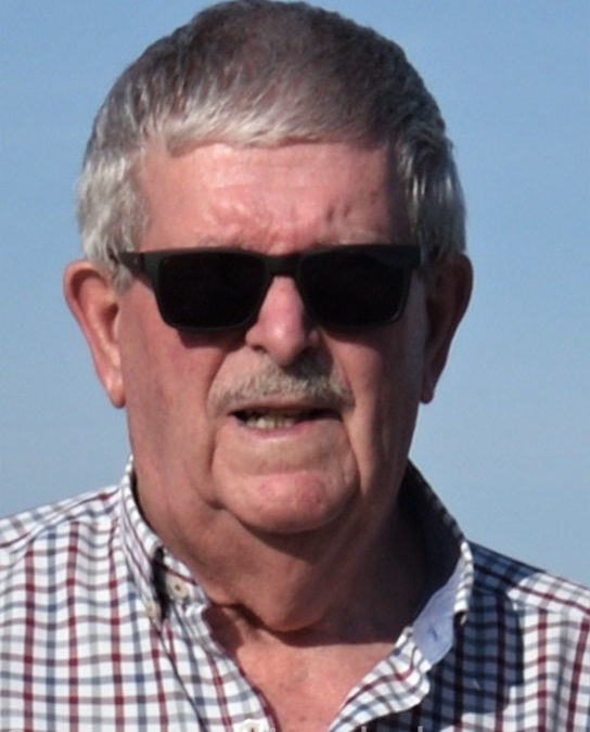 Pérez Mañogil, Manuel
